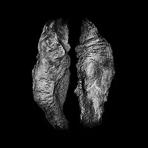 Cause & Effect cover art