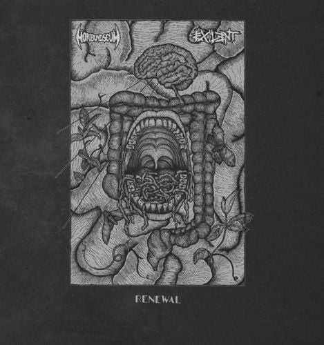 Renewal cover art