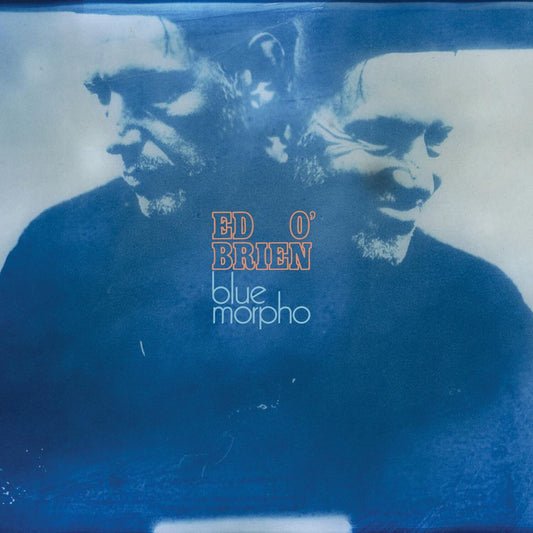 Blue Morpho cover art