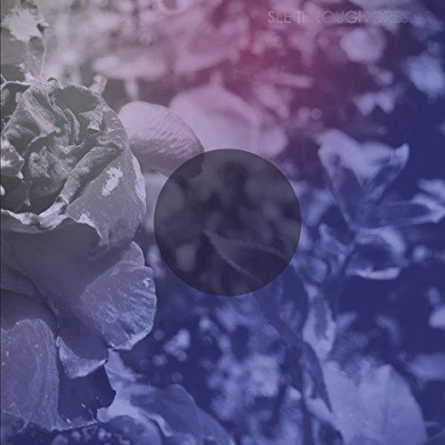 See Through Dresses cover art