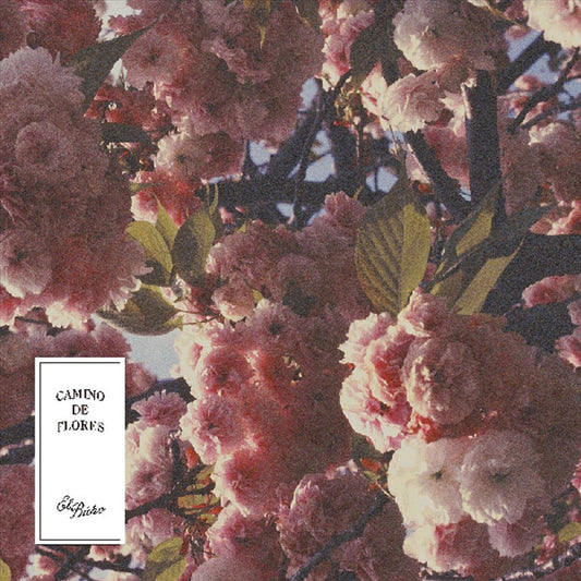 Camino De Flores cover art