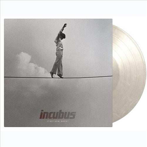 If Not Now, When? cover art