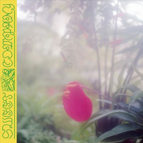 Sweet Company cover art