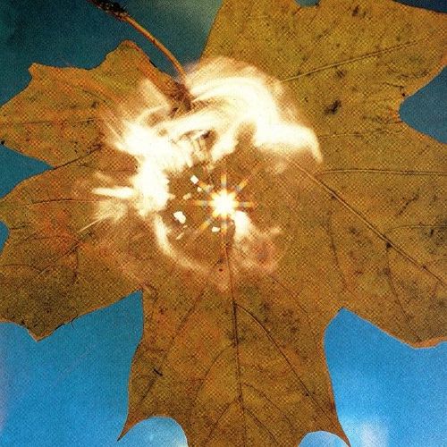 Force of the Wind cover art