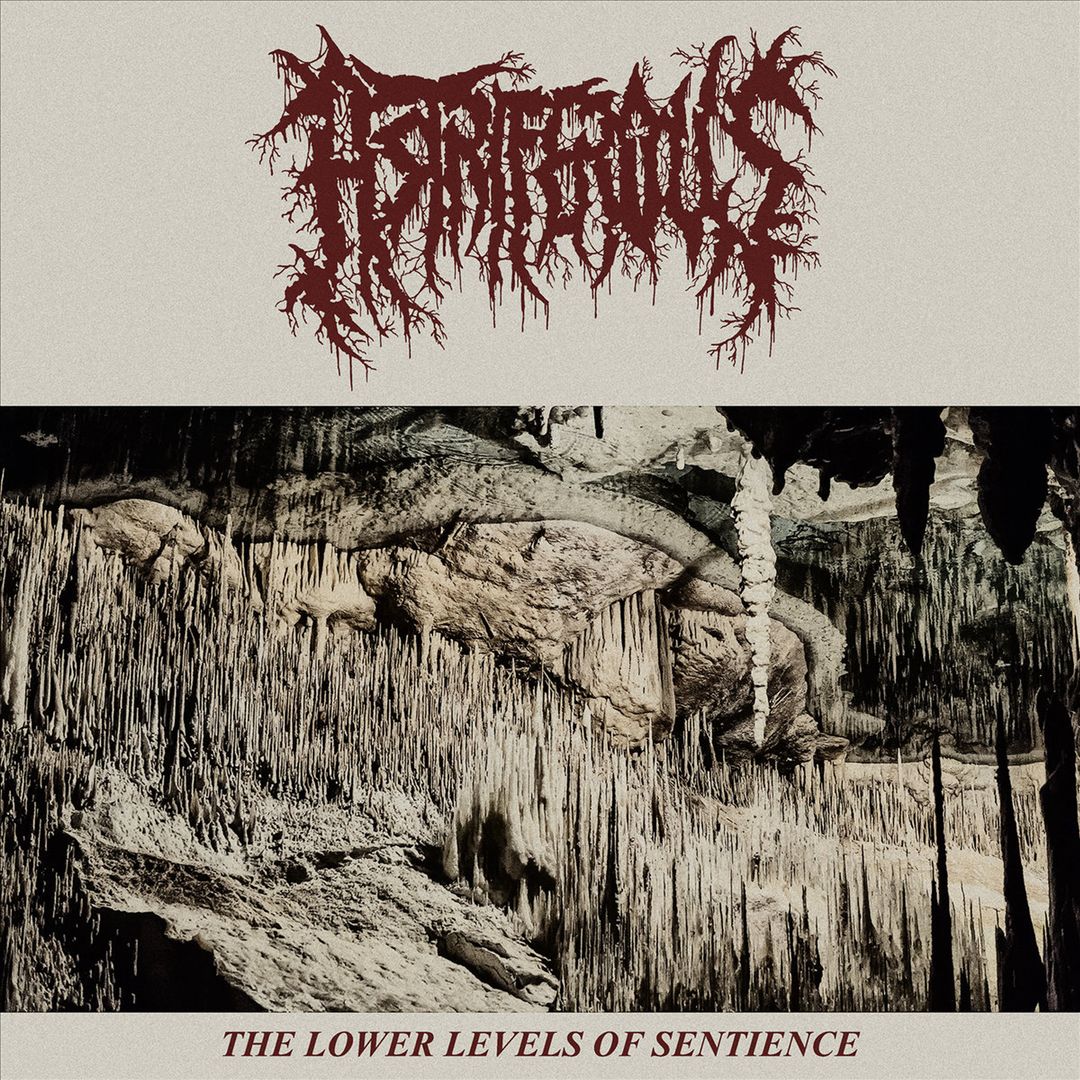 Lower Levels of Sentience cover art