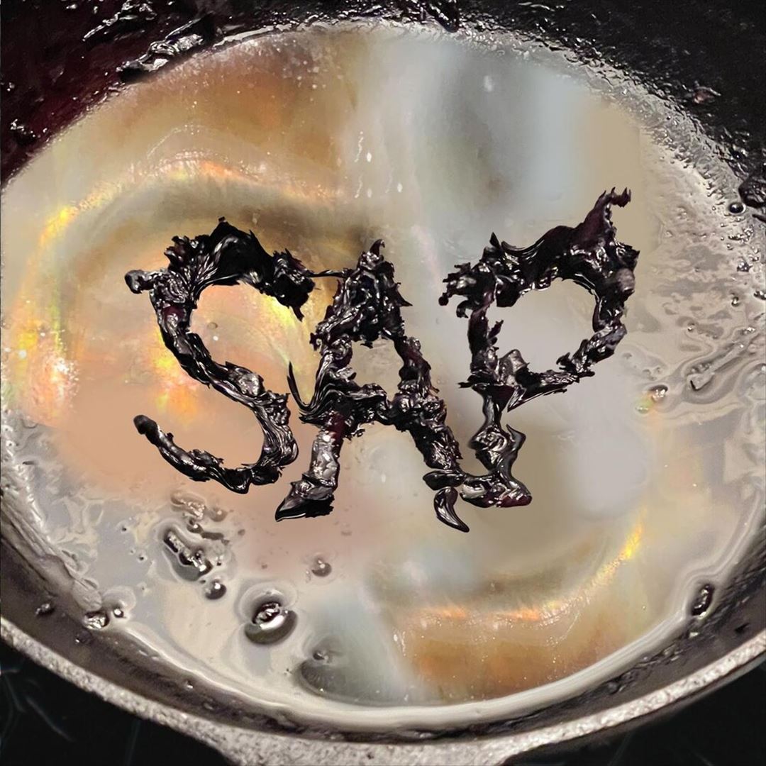 Sap cover art