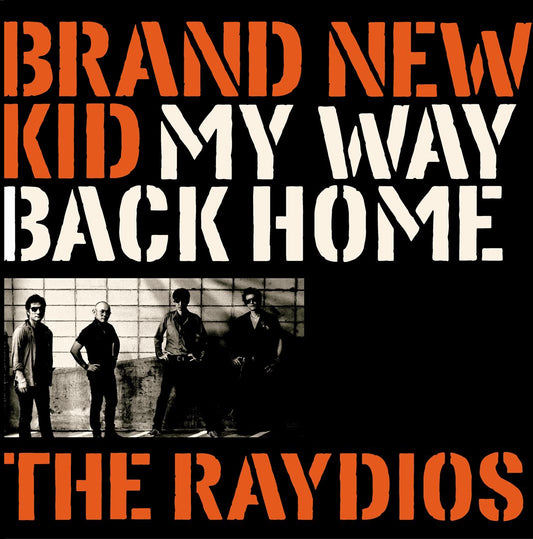 Brand New Kid cover art