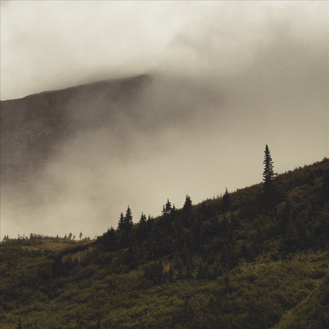 Tohu Wa Bohu cover art