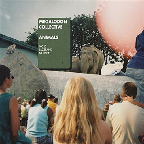 Animals cover art