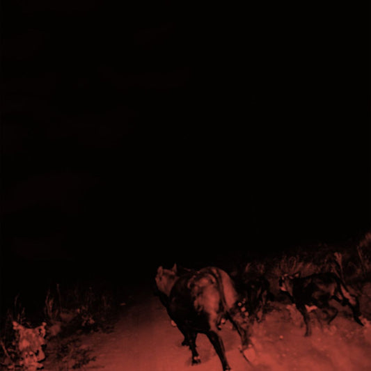 Shadow on Everything cover art