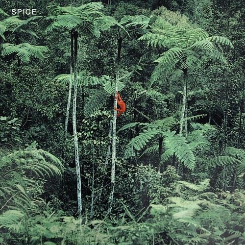 Spice cover art