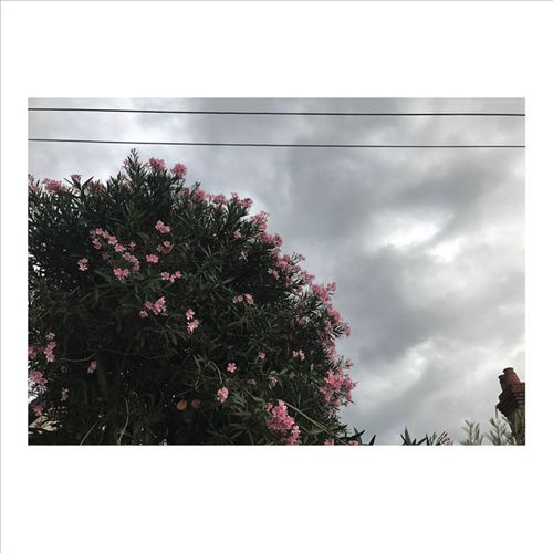 Stretch Ur Skin cover art