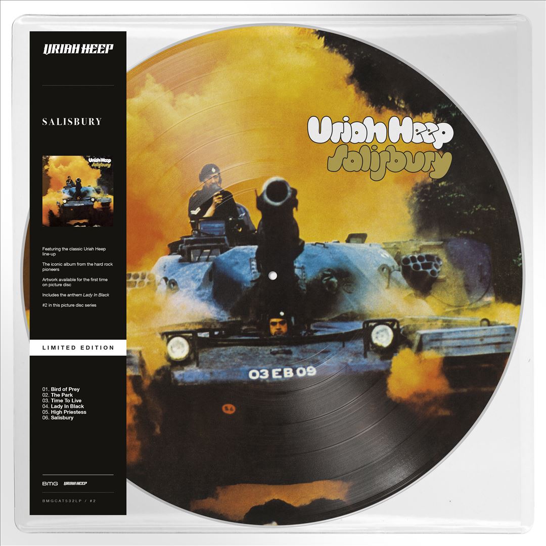 Salisbury cover art