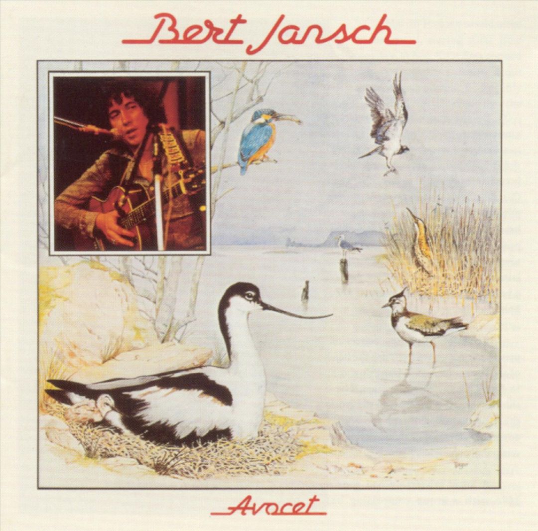 Avocet cover art