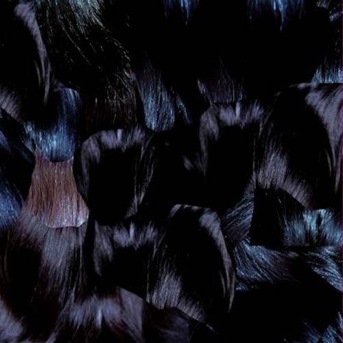 Gyu cover art