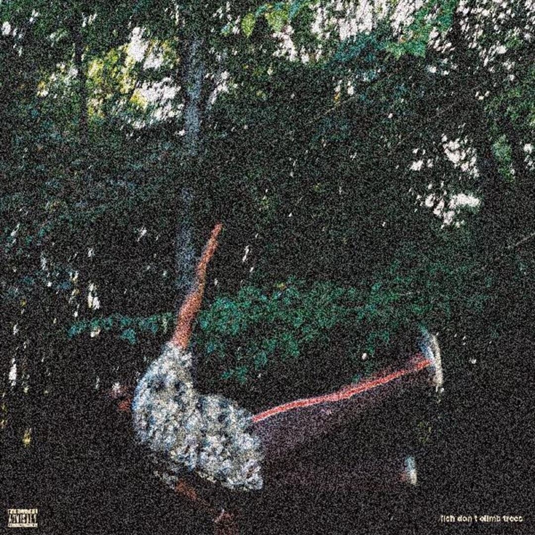 Fish Don't Climb Trees cover art