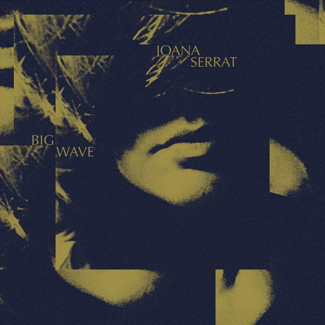 Big Wave cover art