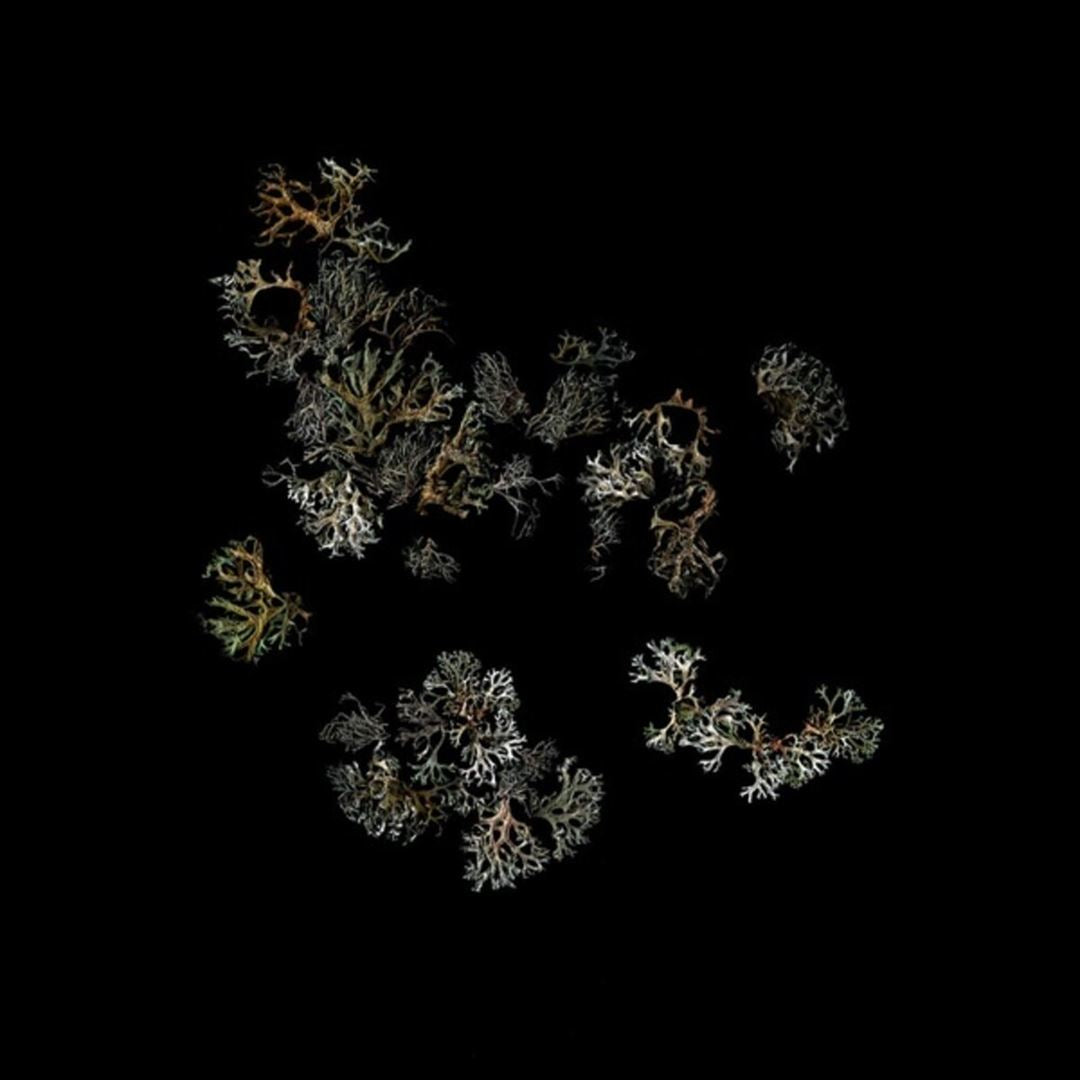 Return cover art