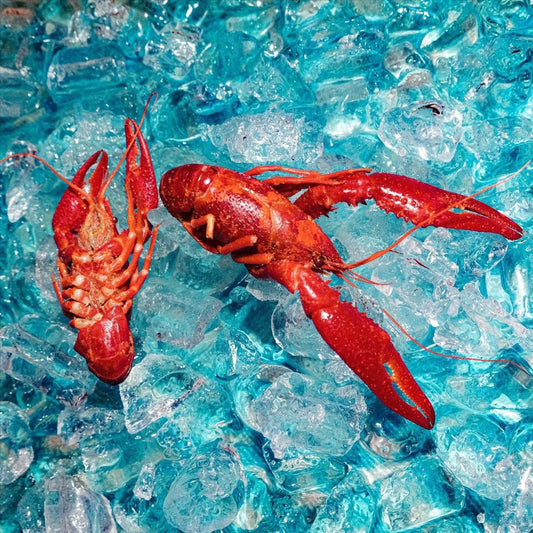 Here You Are cover art