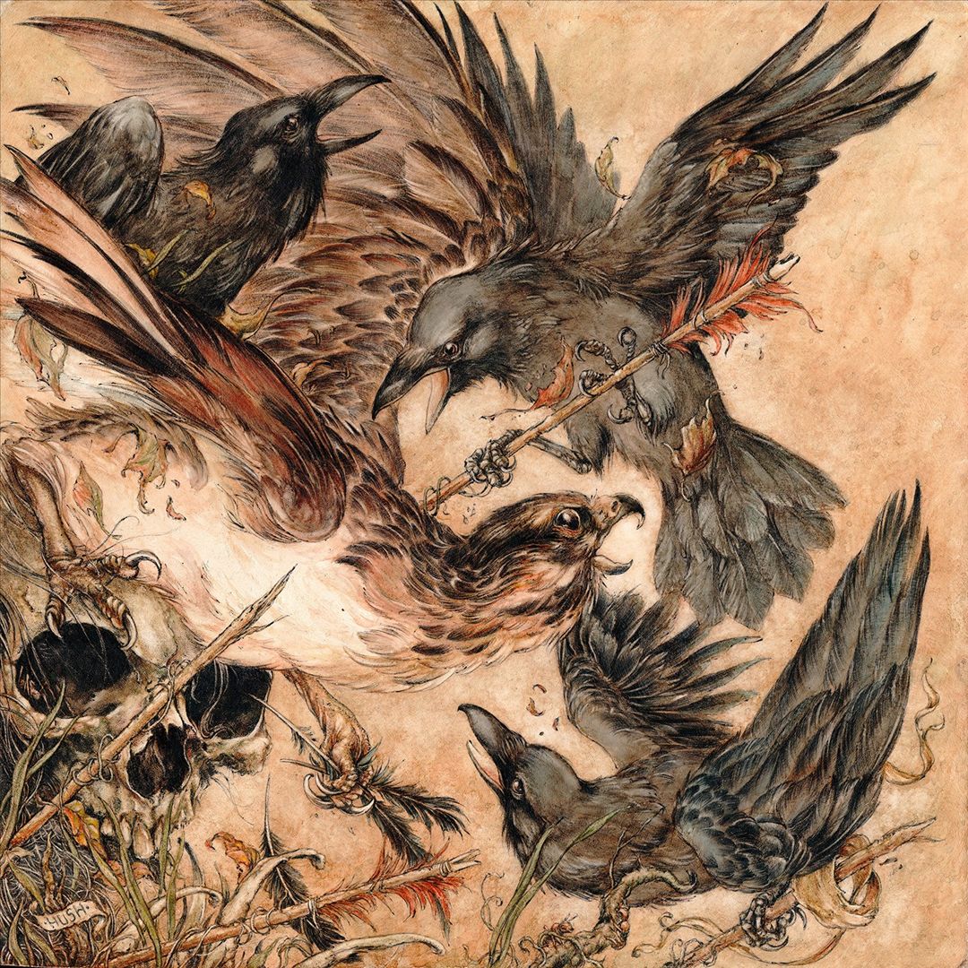 Shadows cover art
