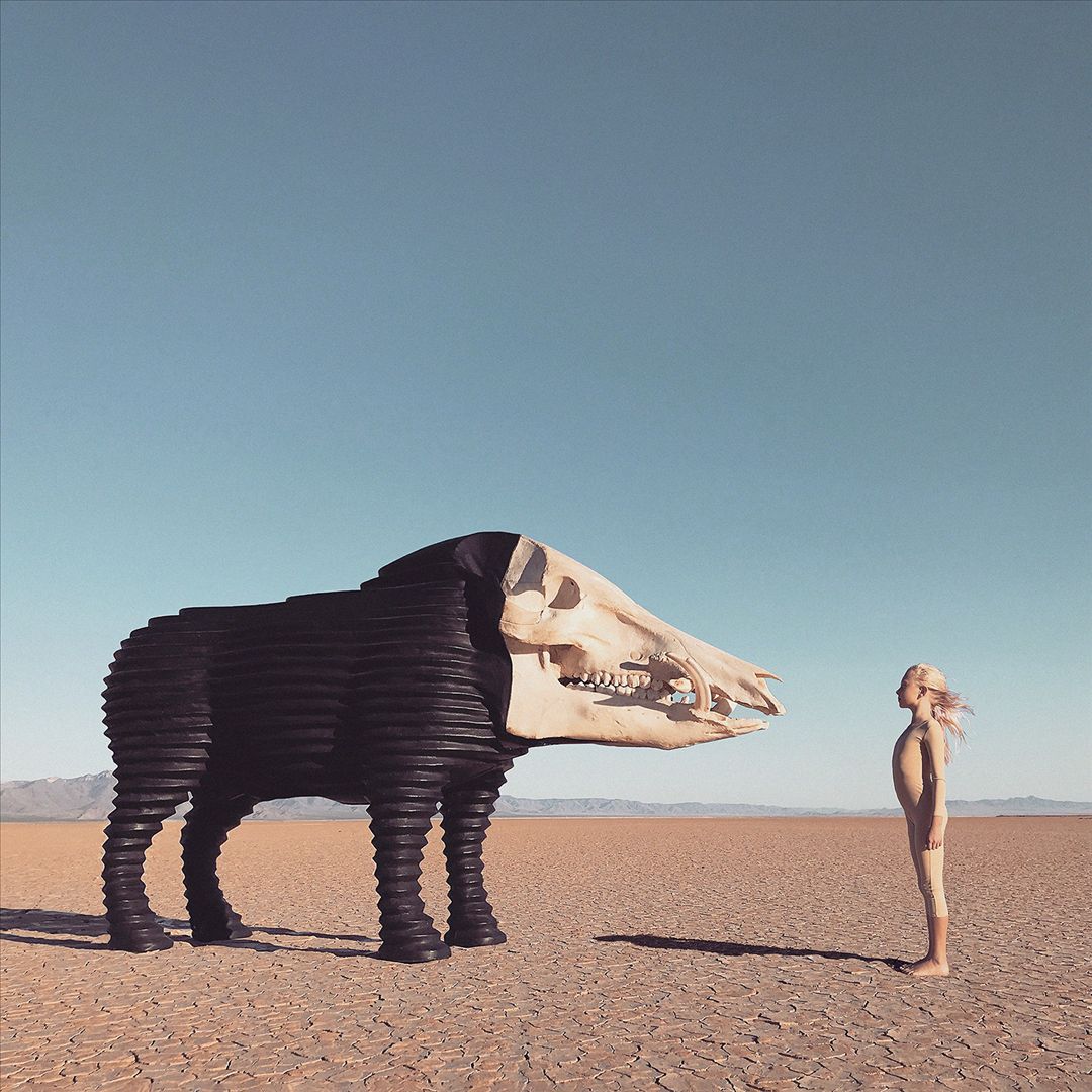 Dream Hunting in the Valley of the In-Between cover art
