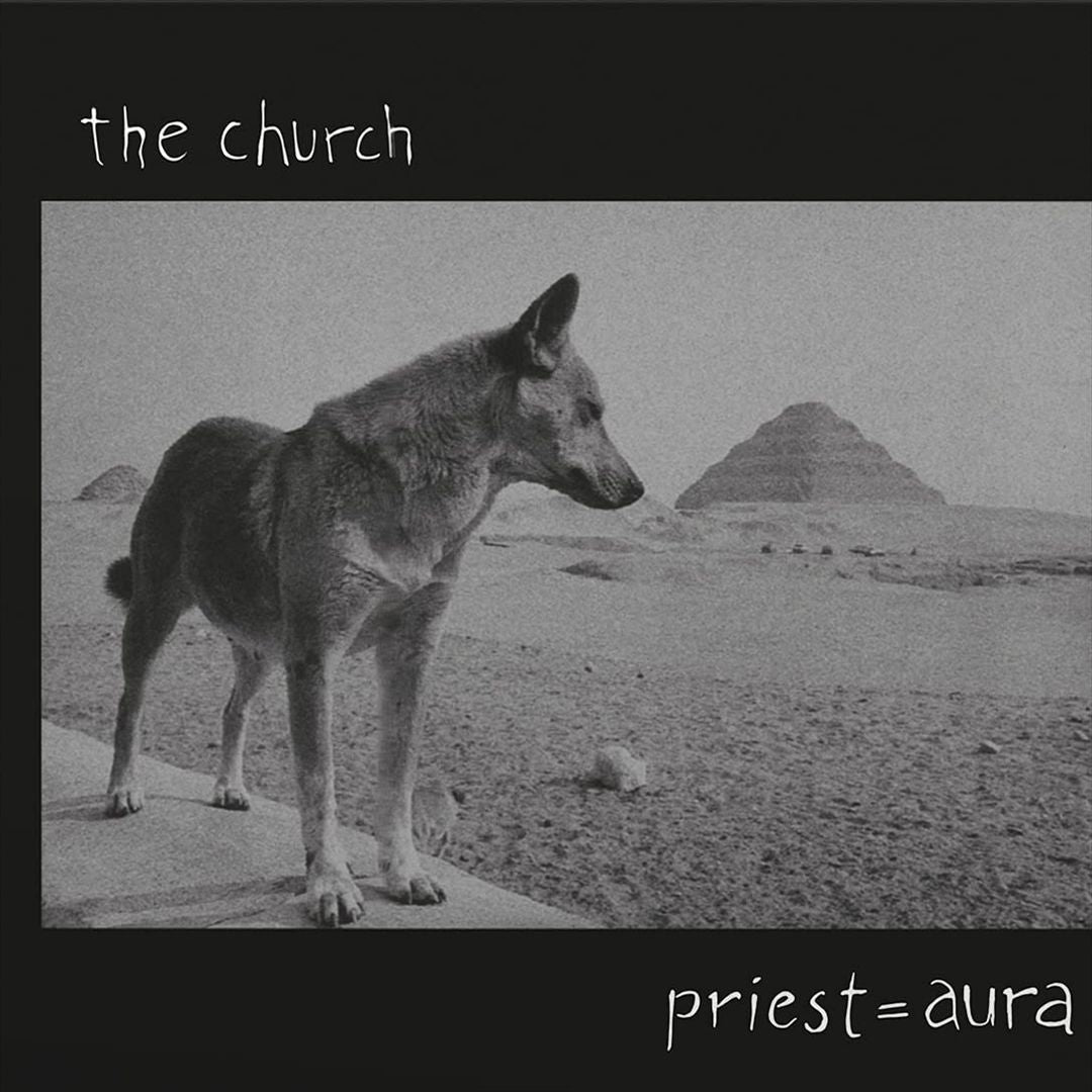 With Orchestra Live cover art