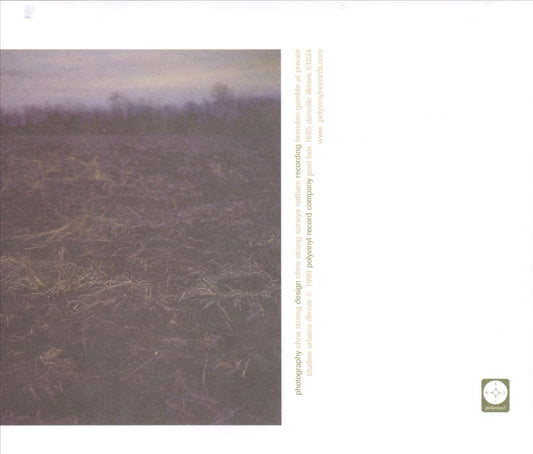 American Football [LP1] cover art