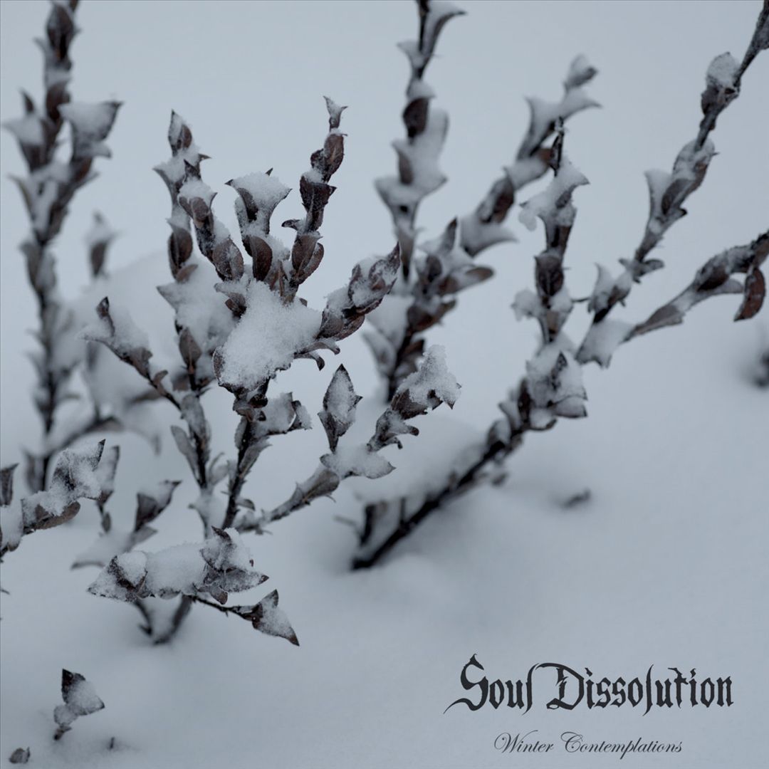 Winter Contemplations (Limited) cover art