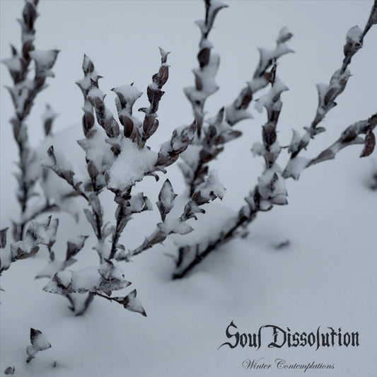 Winter Contemplations (Limited) cover art