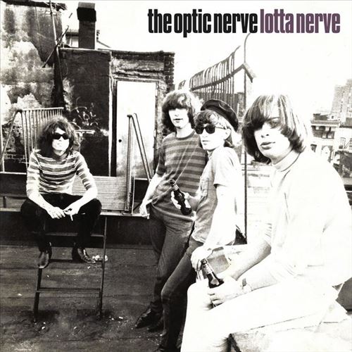 Lotta Nerve cover art