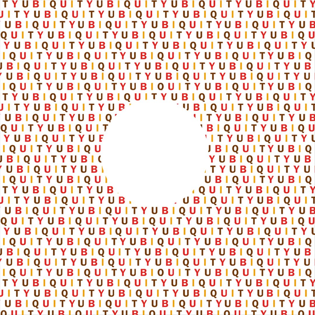 Radio City EP, Vol. 1 cover art