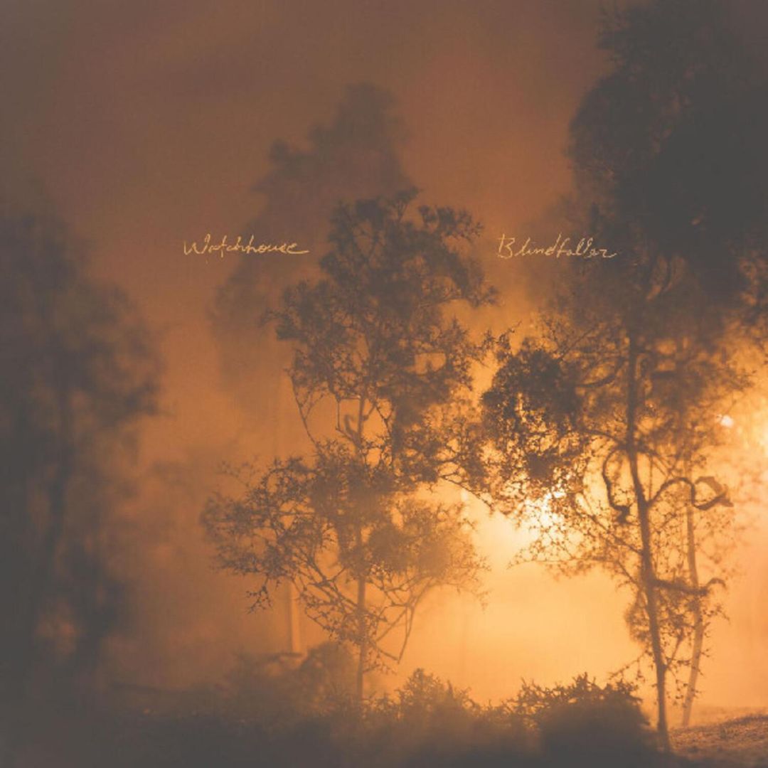 Blindfaller cover art