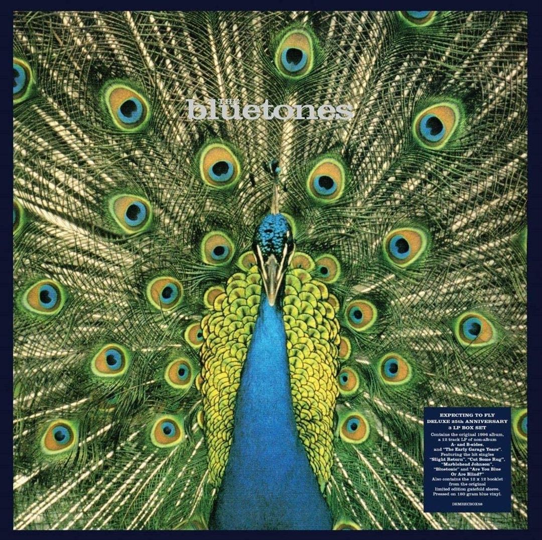 Expecting to Fly [LP] cover art