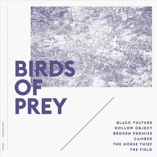 Birds of Prey cover art