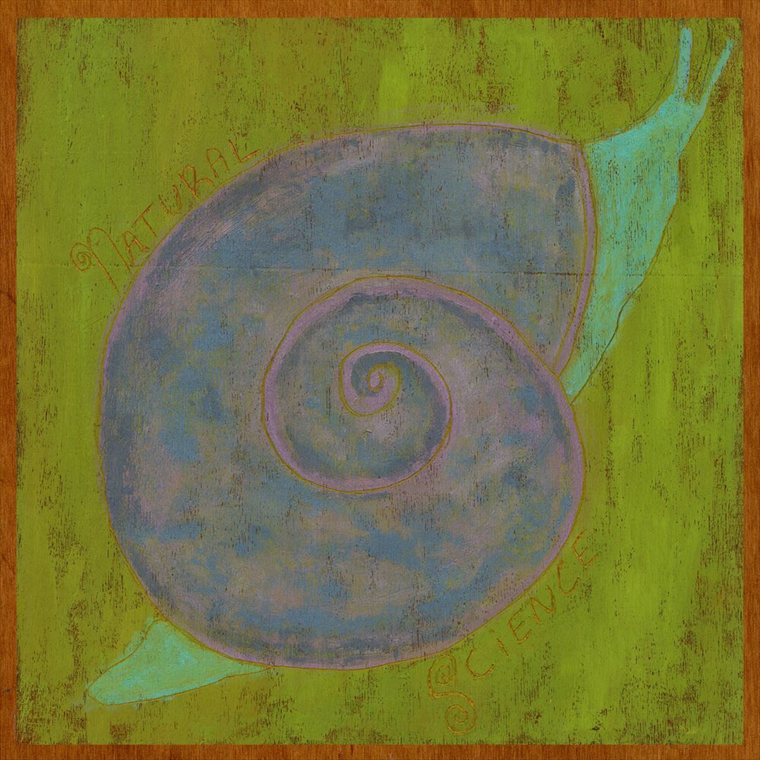Natural Science cover art