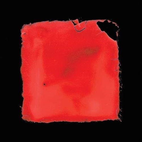 Last Chance to See cover art