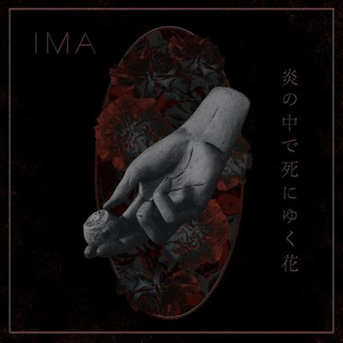 Flowers Die in Burning Fire cover art