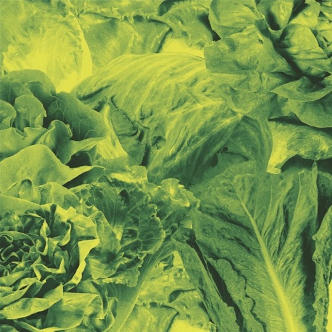 Monorail 3000 cover art