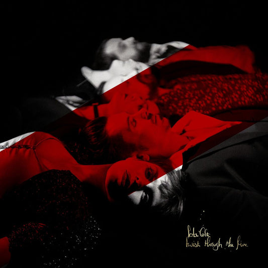 Twist Through the Fire cover art