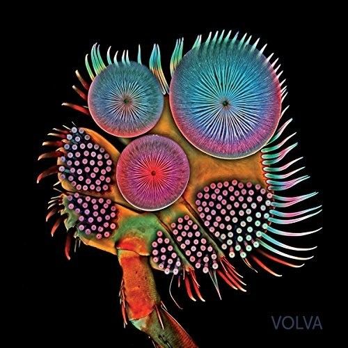 Volva cover art