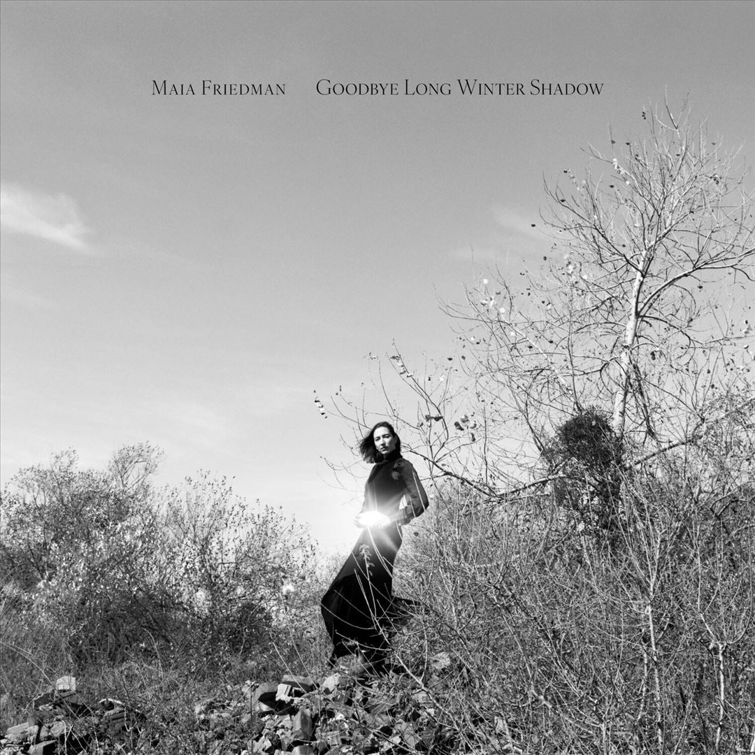 Goodbye Long Winter Shadow  cover art