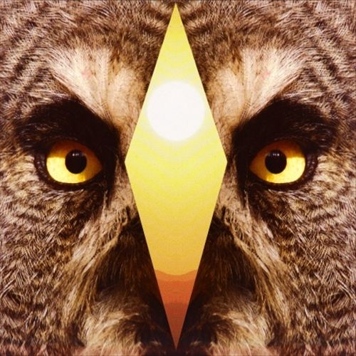 3.1/The Whip cover art