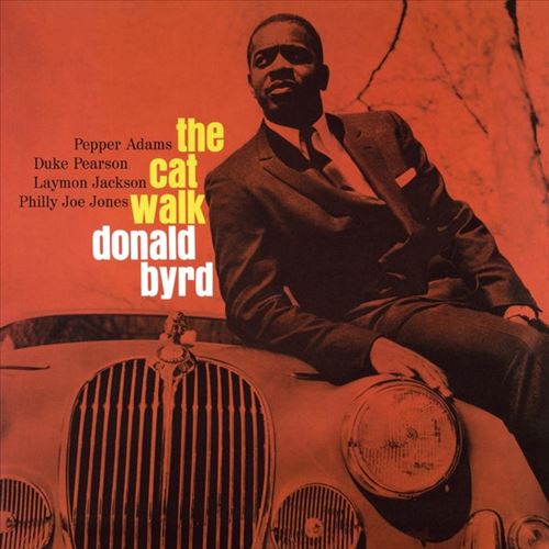 Cat Walk cover art