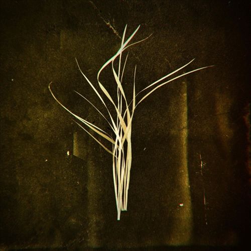 Mnemosyne cover art