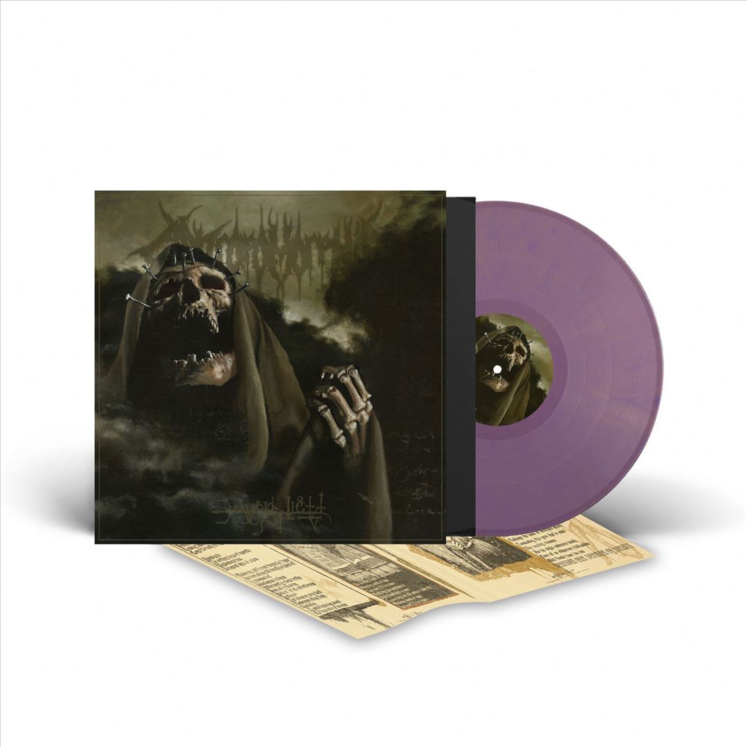 Devoid of Light cover art