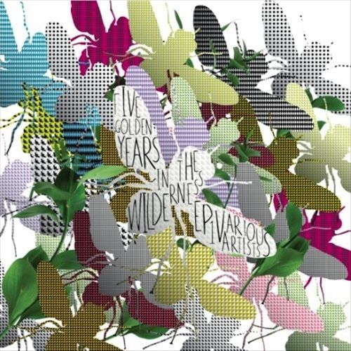 Buzzin' Fly: 5 Golden Years In the Wilderness [Part 1/Sampler] cover art