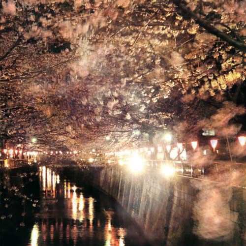 Enjoy the Silence, Vol. 2 cover art