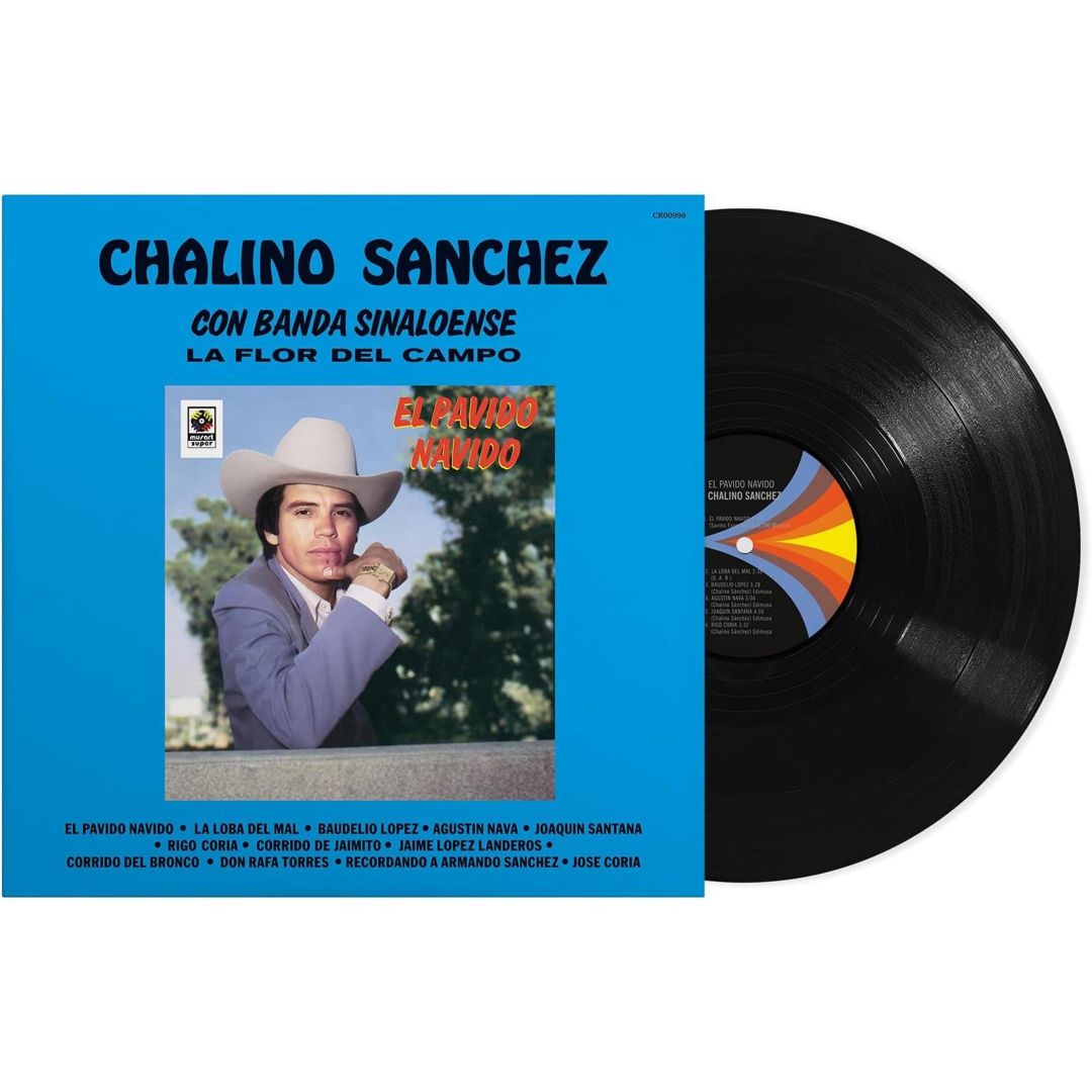 Pavido Navido cover art
