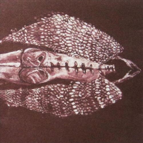 Cerberus Shoal cover art