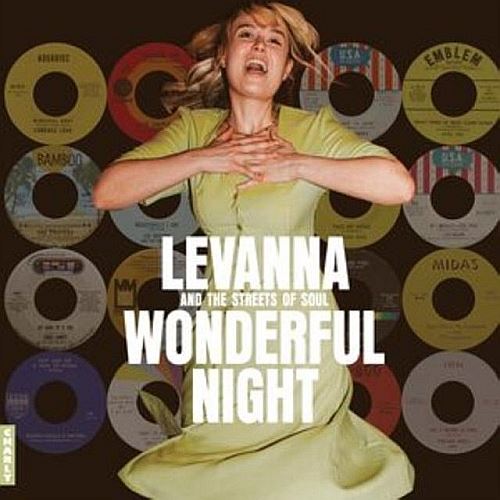 Wonderful Night Curated by Lev cover art